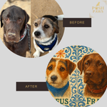 Bespoke Pet Portrait Tile - Your Pet, Your Style, Made in Portugal