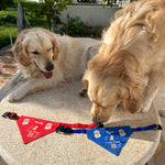 Two dogs with leashes on a stone surface outdoors