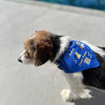 Your Bespoke Bandana Collar | Design Your Own