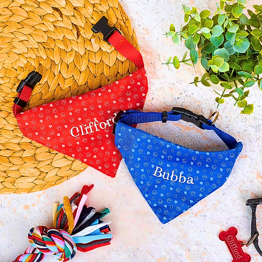 Two dog bandanas, one red and one blue, with names printed on them, placed on a textured surface with a plant in the background.